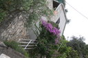 gal/cro 08/_thb_small-IMG_5530.JPG